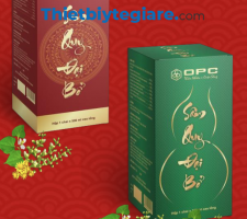  SâM QUY ĐẠI BỔ